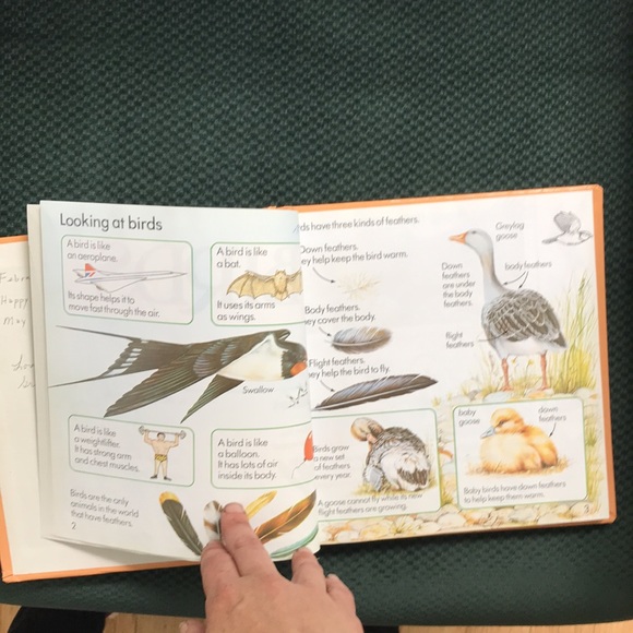 The Usborne Complete Book of Nature - Picture 6 of 15
